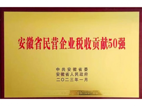 安徽省民營企業(yè)稅收貢獻(xiàn)50強